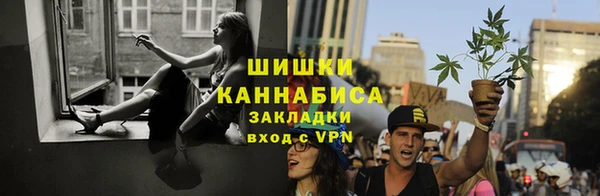 амф Аркадак