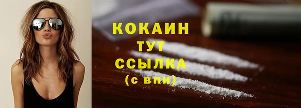 амф Аркадак
